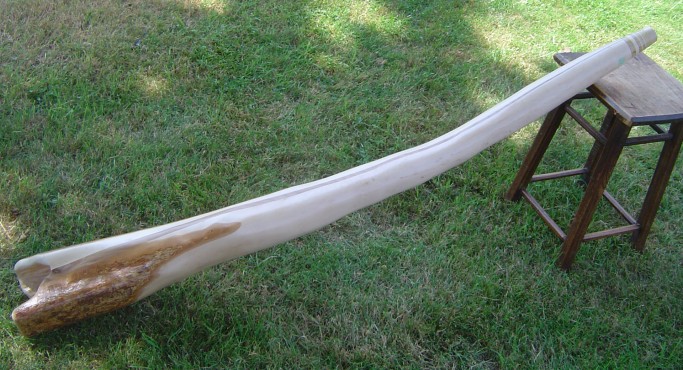 Pivert-didgeridoos_47-1                  